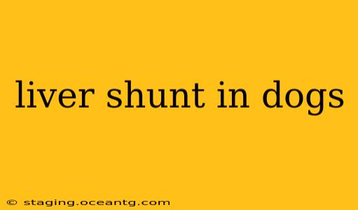 liver shunt in dogs