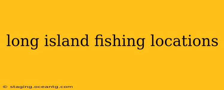 long island fishing locations