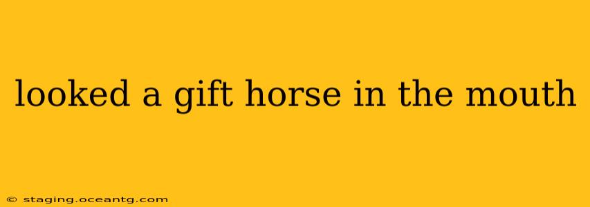 looked a gift horse in the mouth