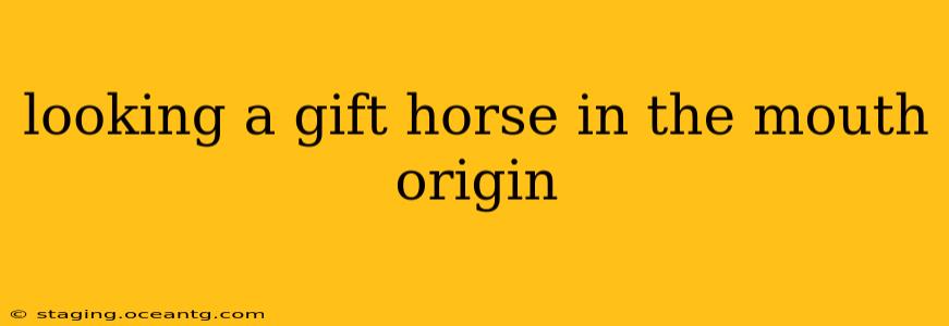 looking a gift horse in the mouth origin