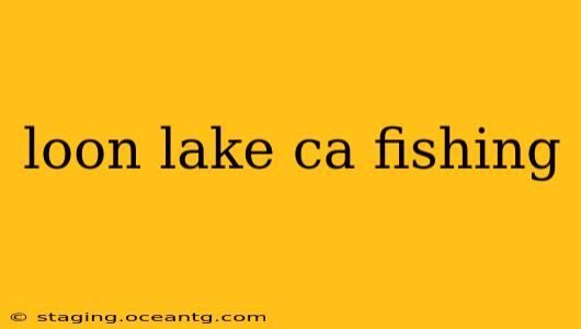 loon lake ca fishing