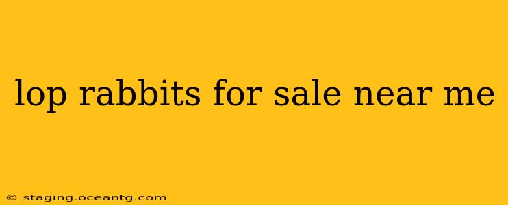 lop rabbits for sale near me