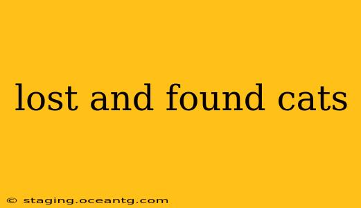 lost and found cats