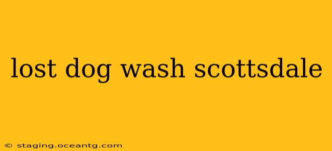 lost dog wash scottsdale