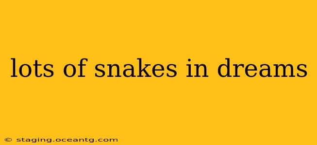 lots of snakes in dreams