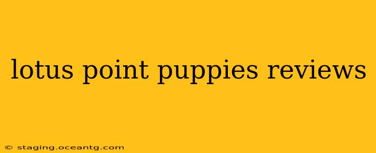 lotus point puppies reviews