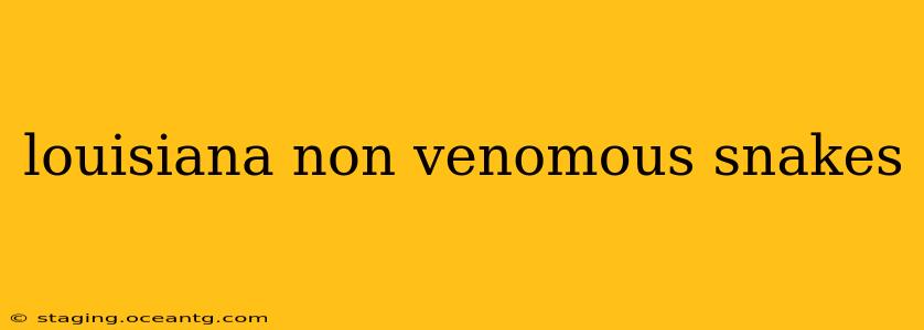 louisiana non venomous snakes