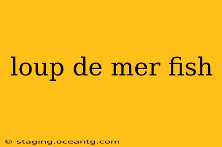 loup de mer fish
