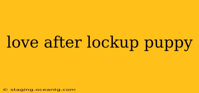 love after lockup puppy
