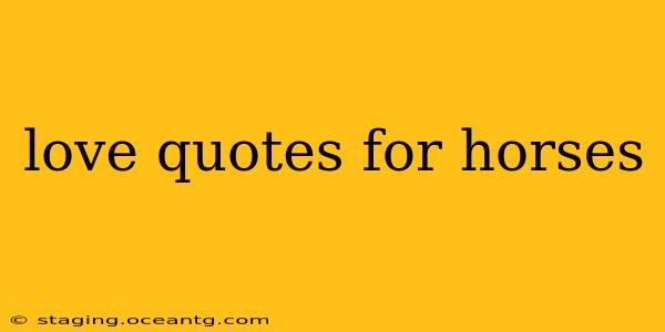 love quotes for horses