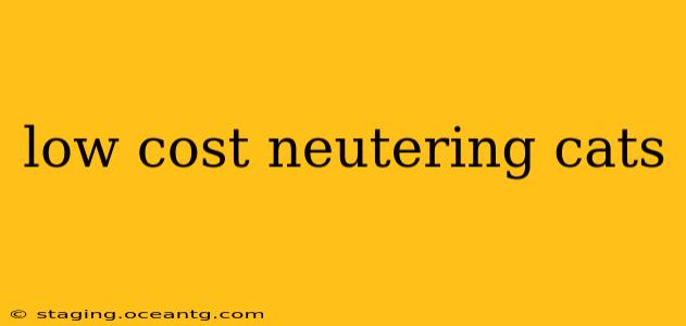 low cost neutering cats