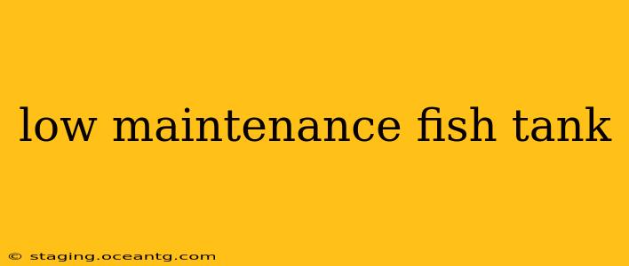 low maintenance fish tank