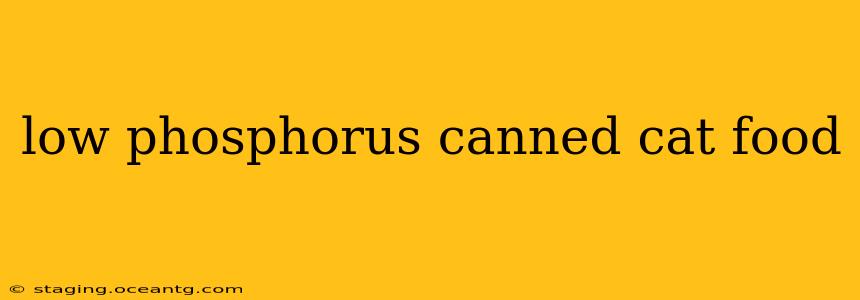 low phosphorus canned cat food