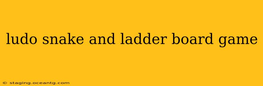 ludo snake and ladder board game