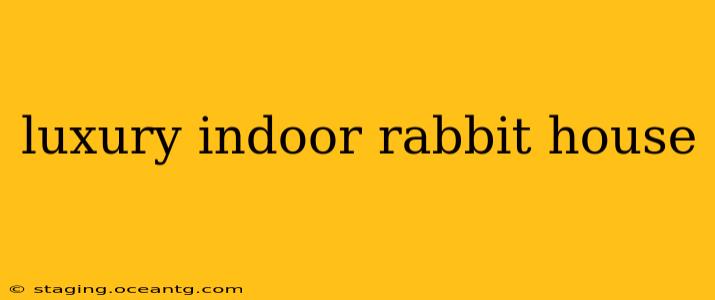 luxury indoor rabbit house