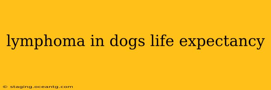 lymphoma in dogs life expectancy