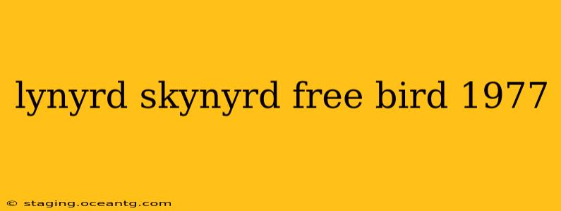 lynyrd skynyrd free bird 1977