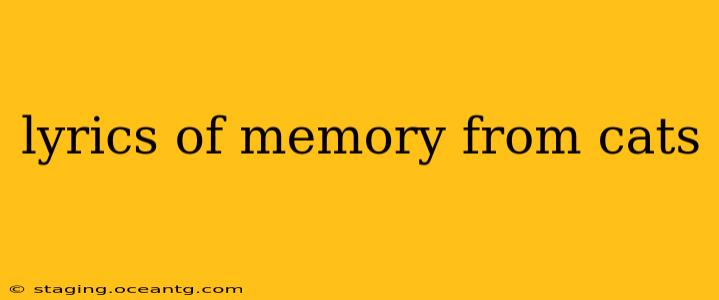 lyrics of memory from cats