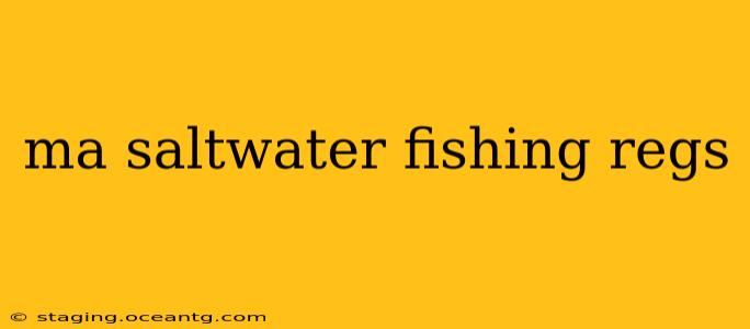 ma saltwater fishing regs