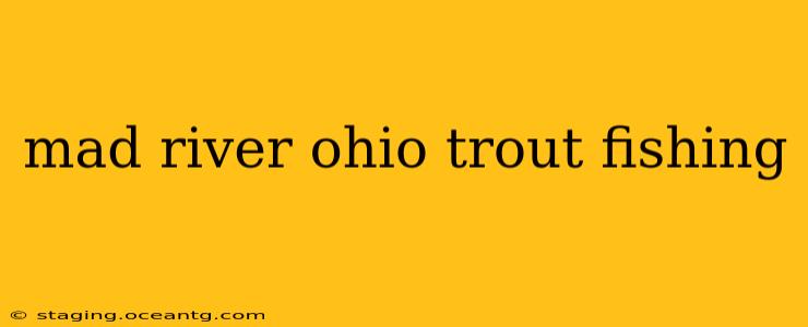 mad river ohio trout fishing