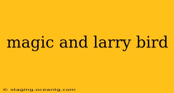 magic and larry bird