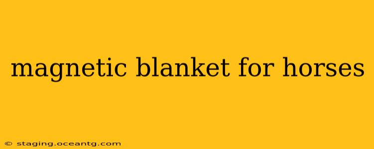 magnetic blanket for horses