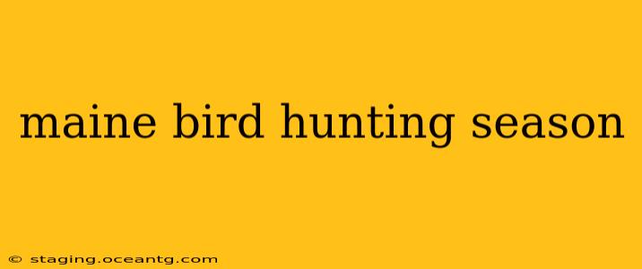 maine bird hunting season
