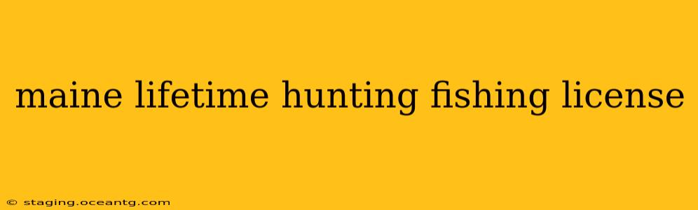maine lifetime hunting fishing license