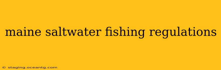 maine saltwater fishing regulations