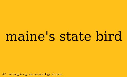 maine's state bird