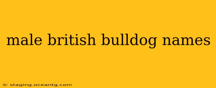 male british bulldog names
