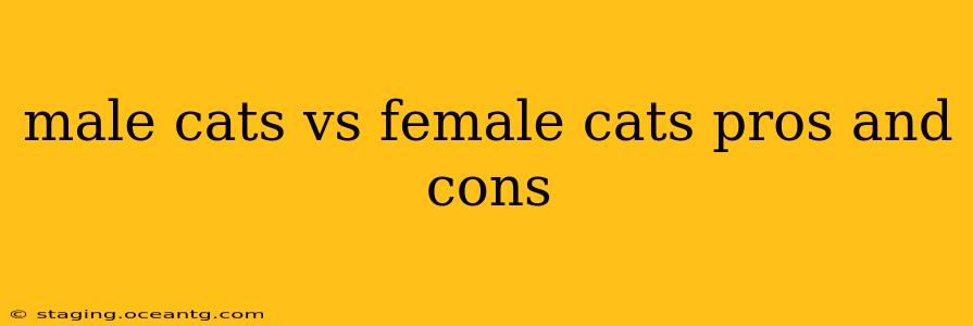 male cats vs female cats pros and cons