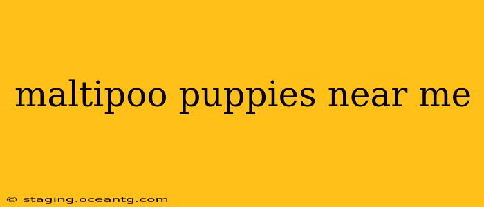 maltipoo puppies near me