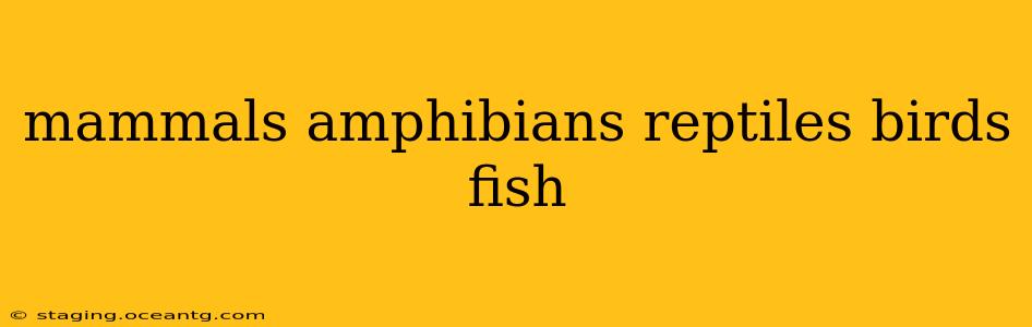 mammals amphibians reptiles birds fish