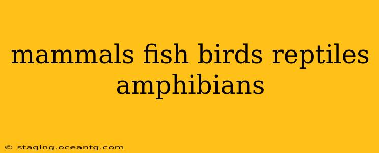 mammals fish birds reptiles amphibians