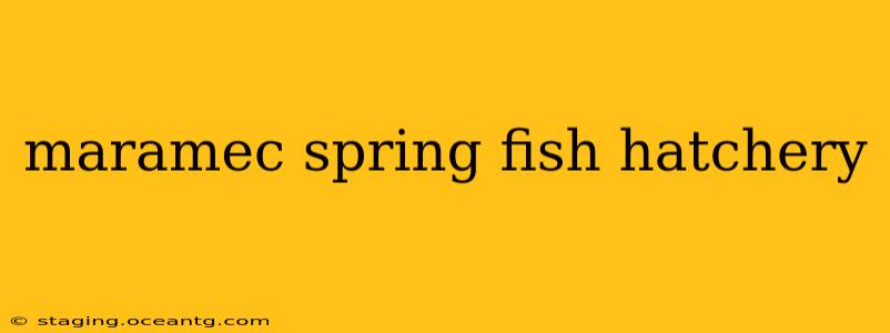 maramec spring fish hatchery