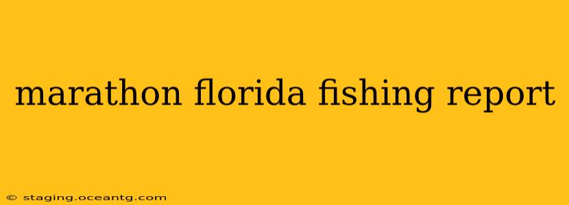 marathon florida fishing report