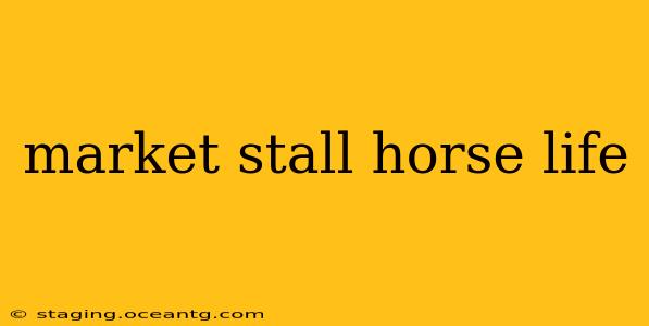 market stall horse life