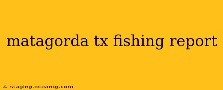 matagorda tx fishing report