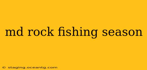 md rock fishing season