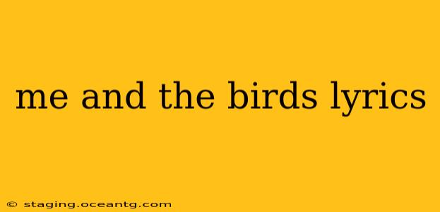 me and the birds lyrics