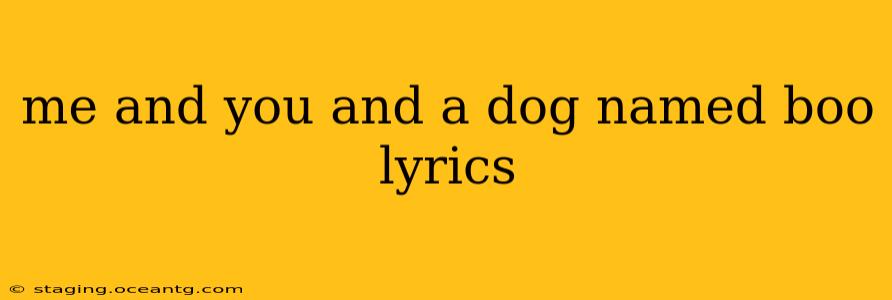 me and you and a dog named boo lyrics