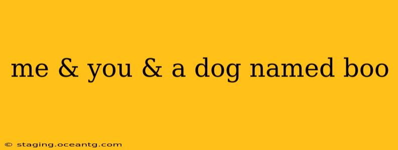 me & you & a dog named boo