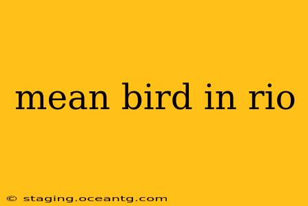 mean bird in rio