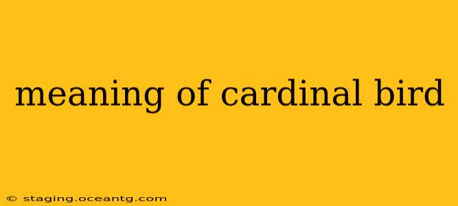meaning of cardinal bird