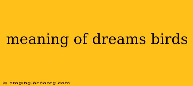 meaning of dreams birds