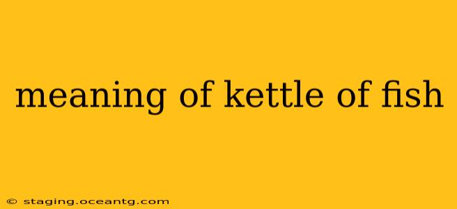 meaning of kettle of fish
