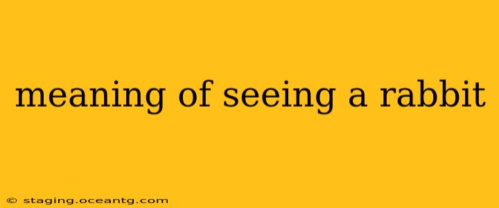 meaning of seeing a rabbit