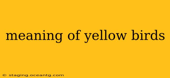 meaning of yellow birds