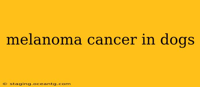 melanoma cancer in dogs